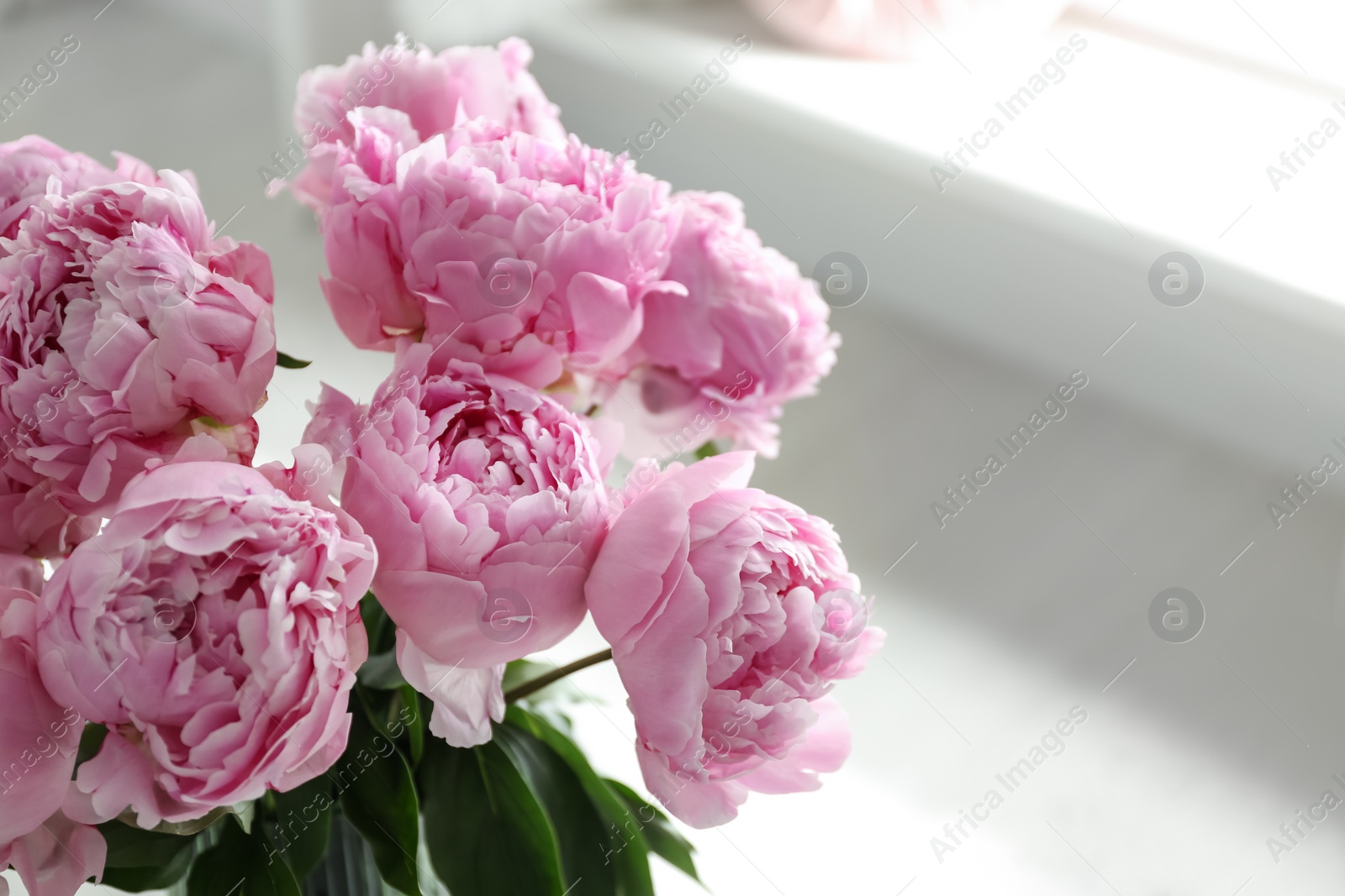 Photo of Bouquet of beautiful pink peonies indoors, closeup. Space for text