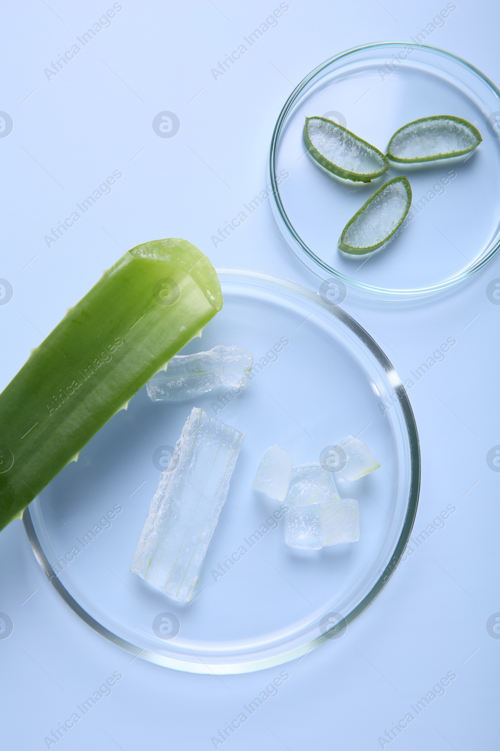 Photo of Flat lay composition with cut aloe vera on light blue background