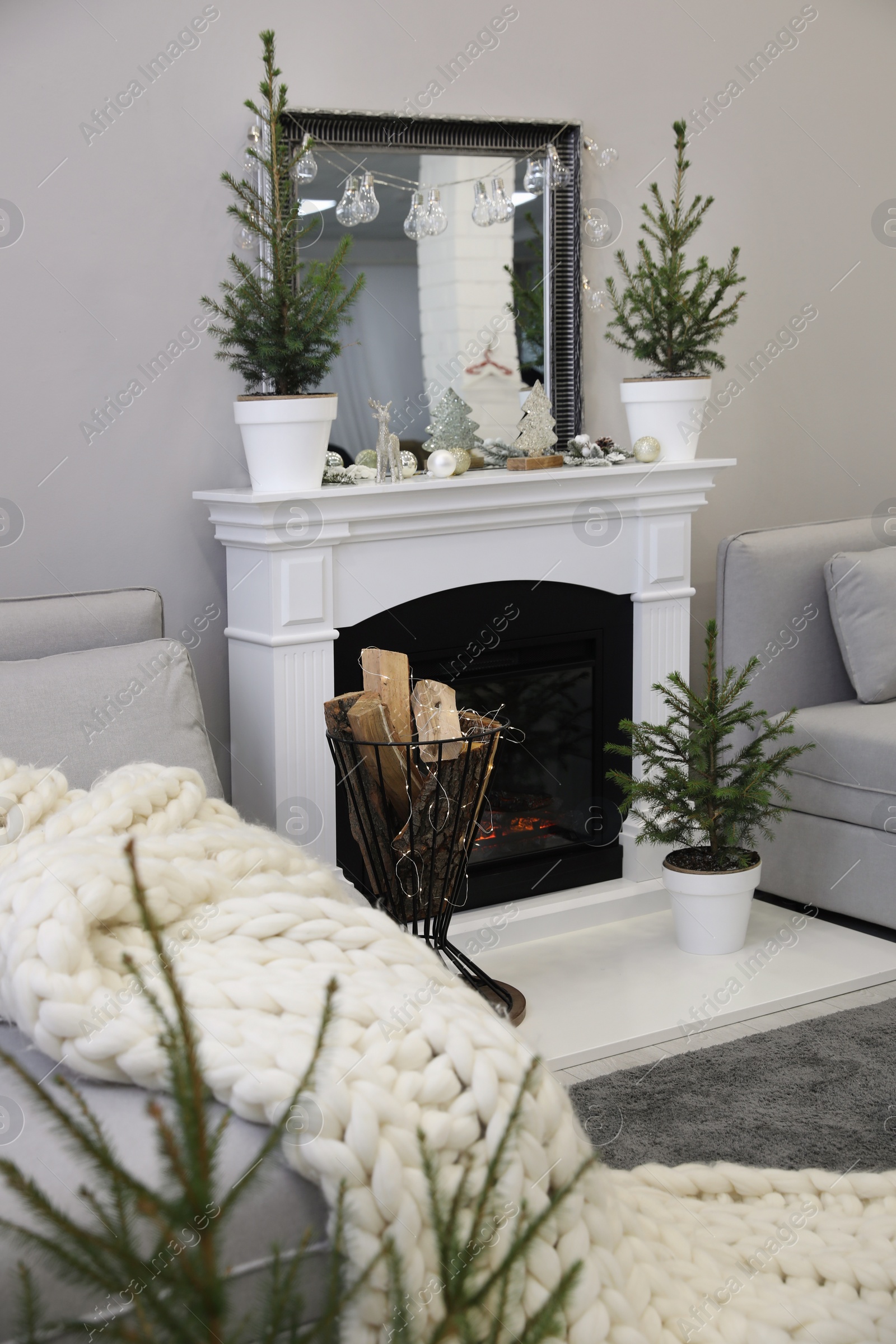 Photo of Stylish living room interior with little fir trees and Christmas decorations