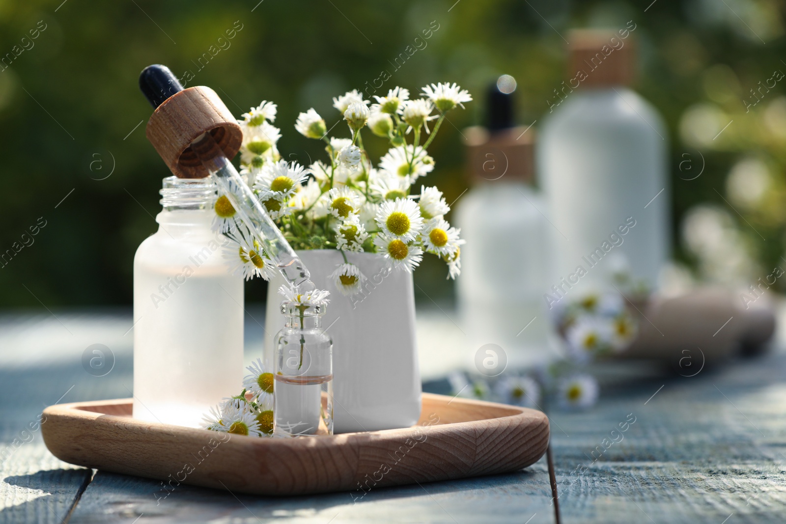 Photo of Bottles of chamomile essential oil, pipette and flowers on grey wooden table, space for text