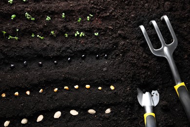 Photo of Different vegetable seeds and tools on fertile soil, flat lay