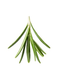 Photo of Fresh green rosemary leaves on white background