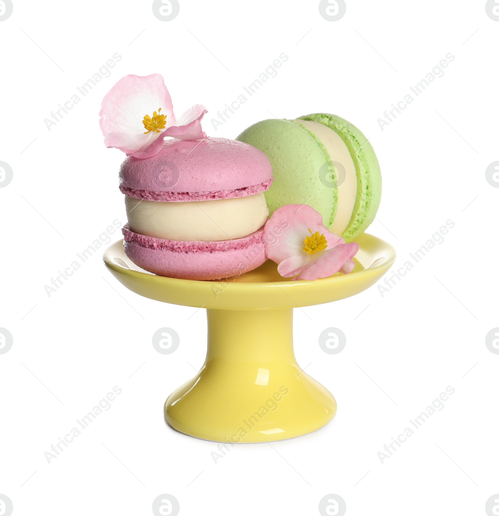 Photo of Colorful macarons and flowers on white background. Delicious dessert