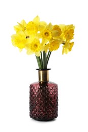 Photo of Beautiful daffodils in vase on white background