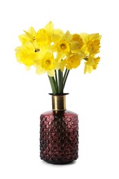 Beautiful daffodils in vase on white background