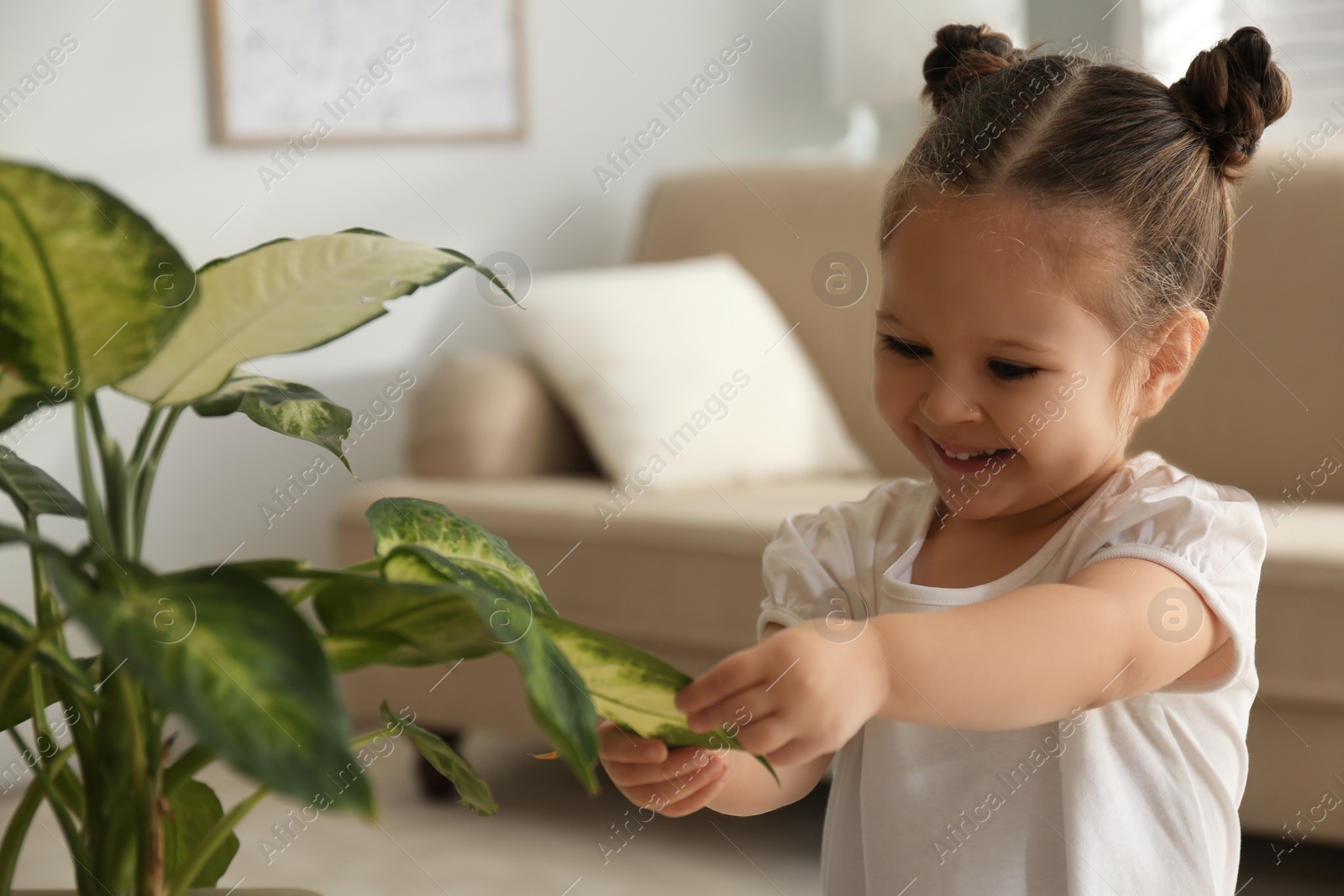 Photo of Little girl playing with houseplant at home