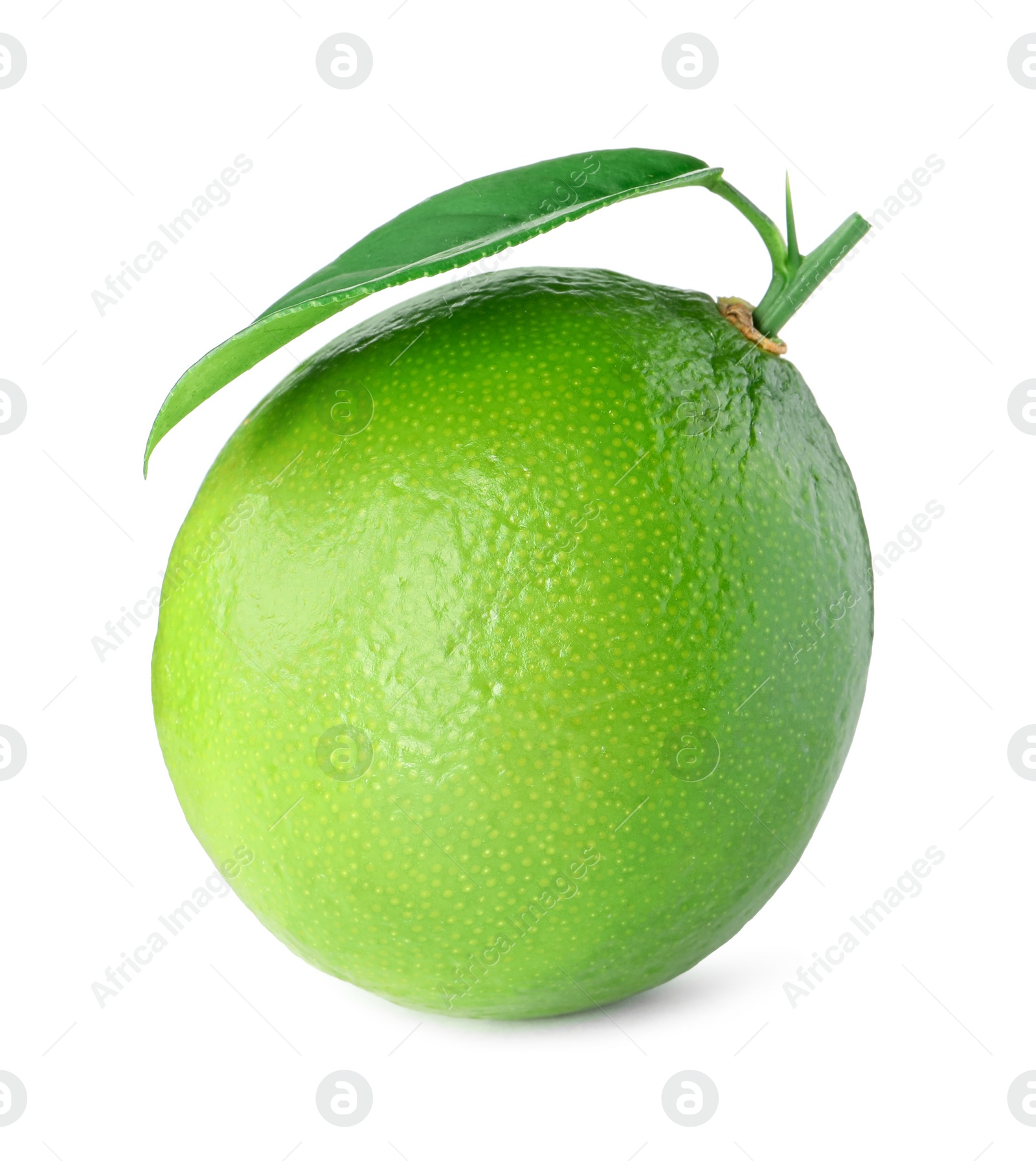 Photo of Fresh green ripe lime with leaf isolated on white