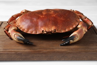 Photo of Delicious boiled crab on white table, closeup