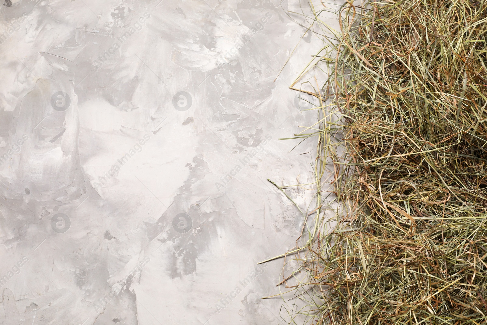 Photo of Dried hay on light grey textured table, top view. Space for text