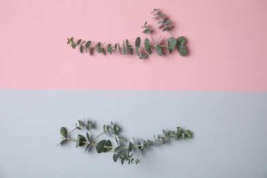 Photo of Eucalyptus branches with fresh leaves and space for design on color background, flat lay