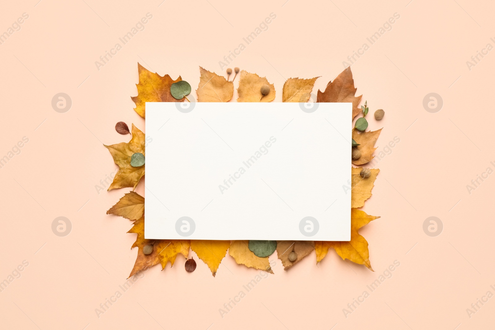 Photo of Flat lay composition with autumn leaves and blank card on light background, space for text