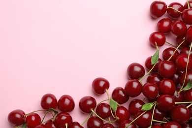 Photo of Delicious cherries on pink background, flat lay. Space for text