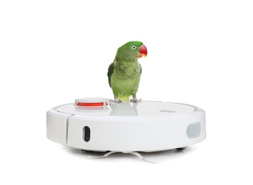 Photo of Modern robotic vacuum cleaner and Alexandrine parakeet on white background