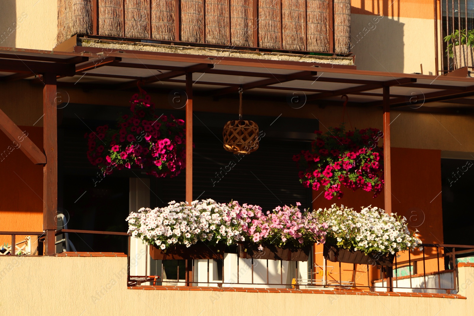 Photo of Balcony decorated with beautiful blooming potted plants on sunny day