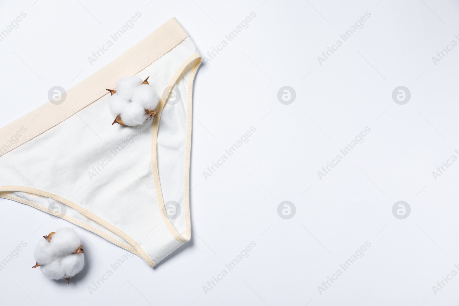 Photo of Stylish women's underwear and cotton flowers on white background, flat lay. Space for text