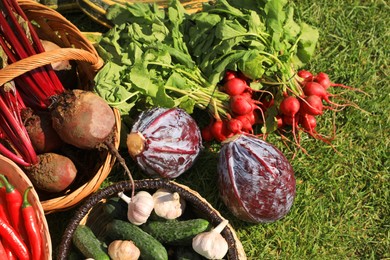 Photo of Different fresh ripe vegetables on green grass, flat lay