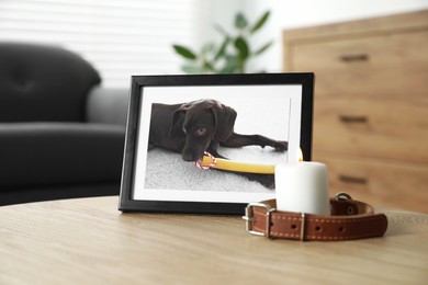 Frame with picture of dog, collar and burning candle on wooden table indoors. Pet funeral