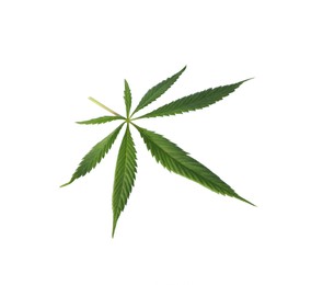 Photo of Fresh green hemp leaf isolated on white, top view