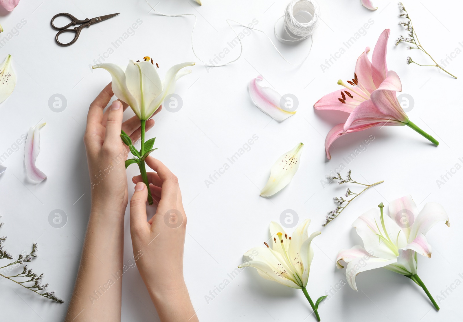 Photo of Woman with beautiful lily flower on white background, top view