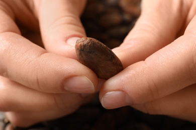 Woman holding cocoa bean, closeup of hands