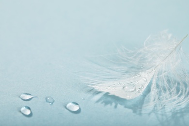 Photo of Closeup view of beautiful feather with dew drops on light blue background, space for text