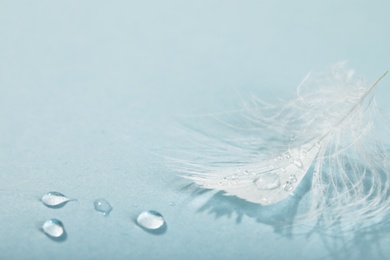 Closeup view of beautiful feather with dew drops on light blue background, space for text