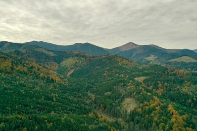 Photo of Aerial view of beautiful mountain forest on autumn day