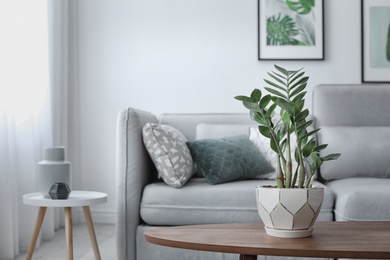 Photo of Table with plant in elegant living room interior