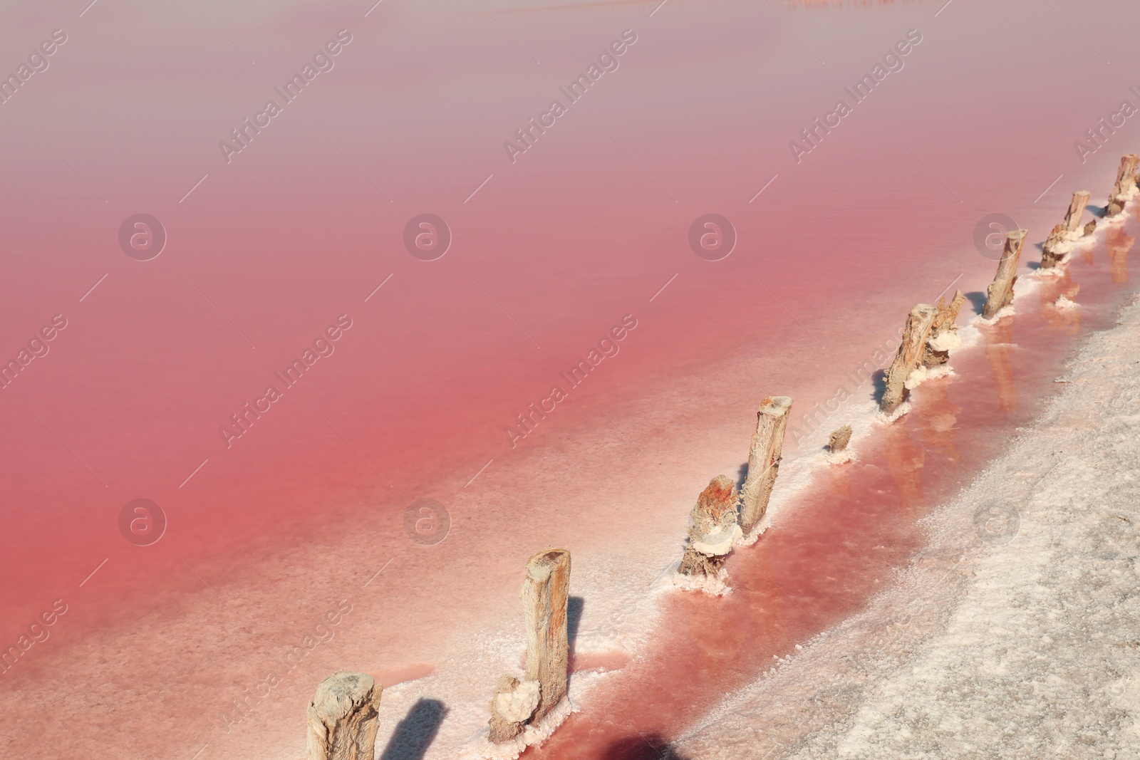 Photo of Beautiful view of pink lake on summer day