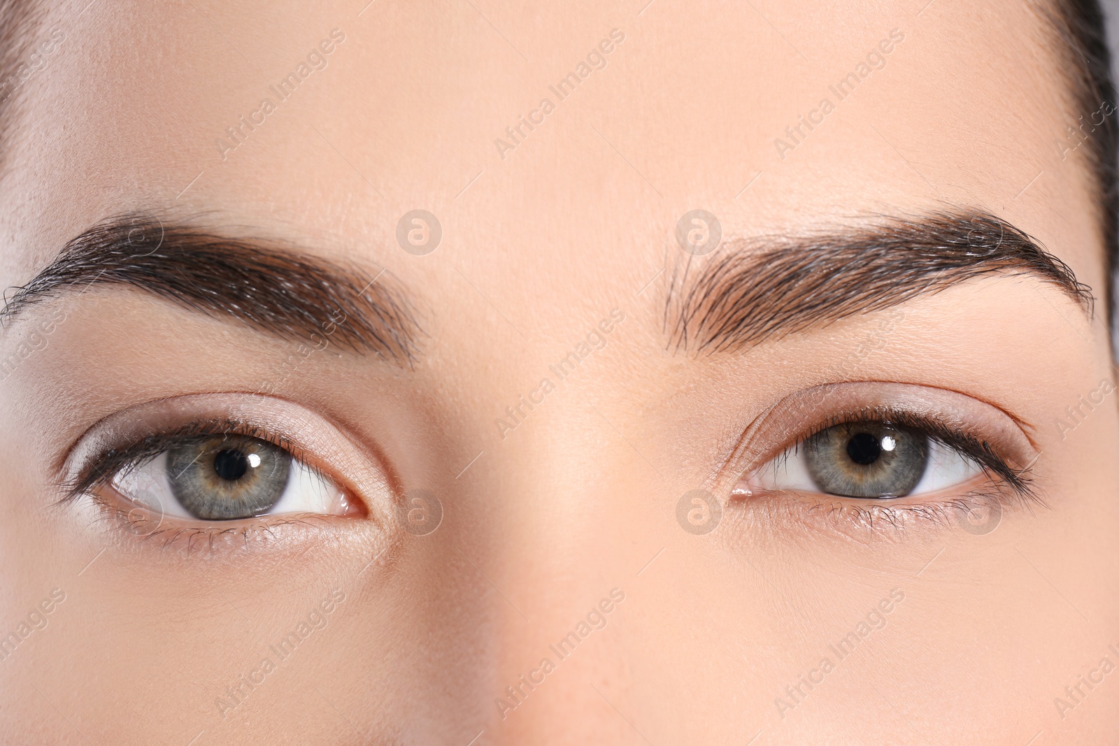 Photo of Beautiful woman with perfect eyebrows, closeup