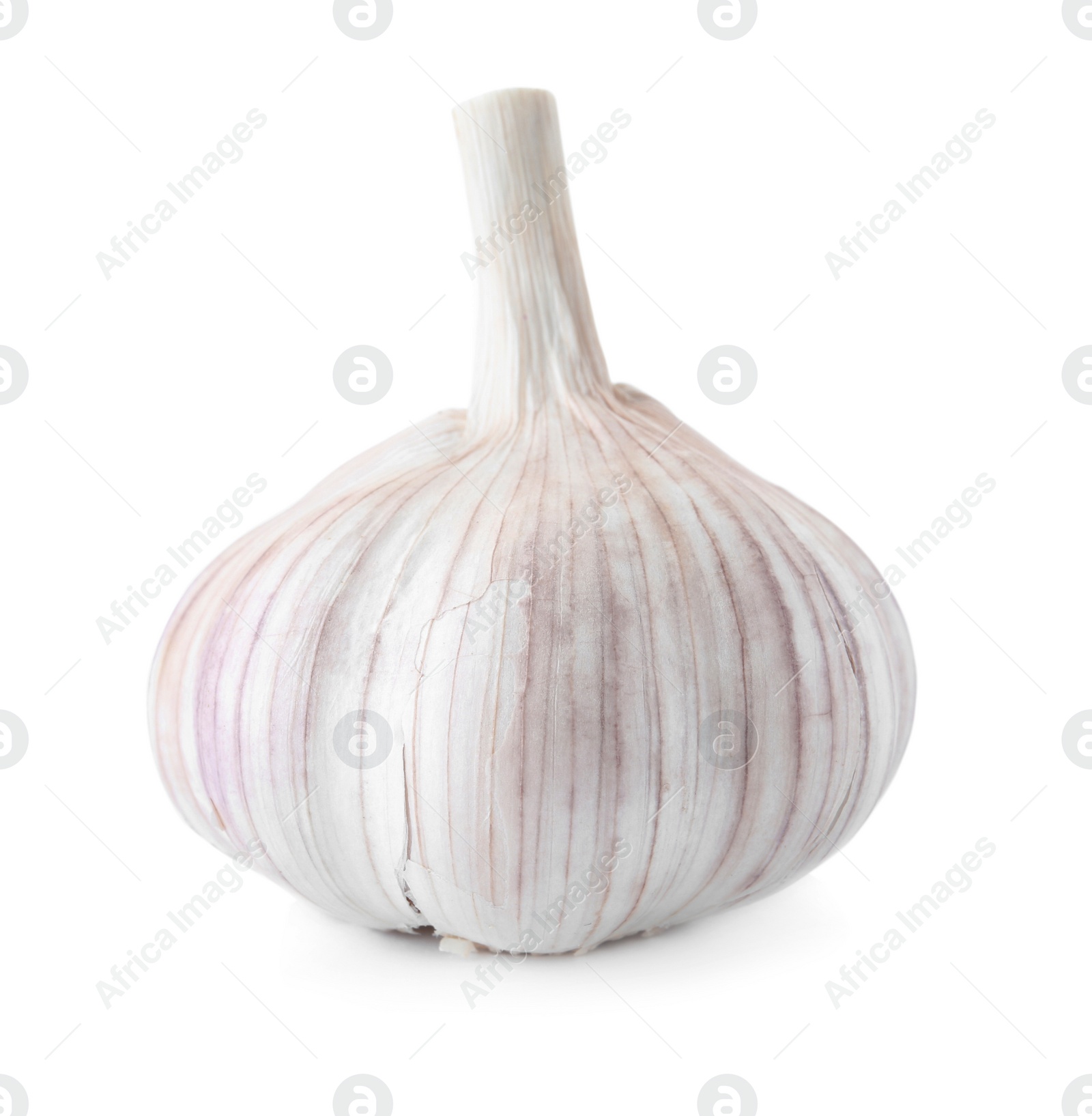 Photo of Fresh garlic on white background. Organic food