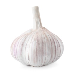 Photo of Fresh garlic on white background. Organic food