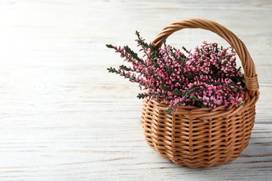 Heather branches with beautiful flowers in wicker basket on white wooden table, space for text