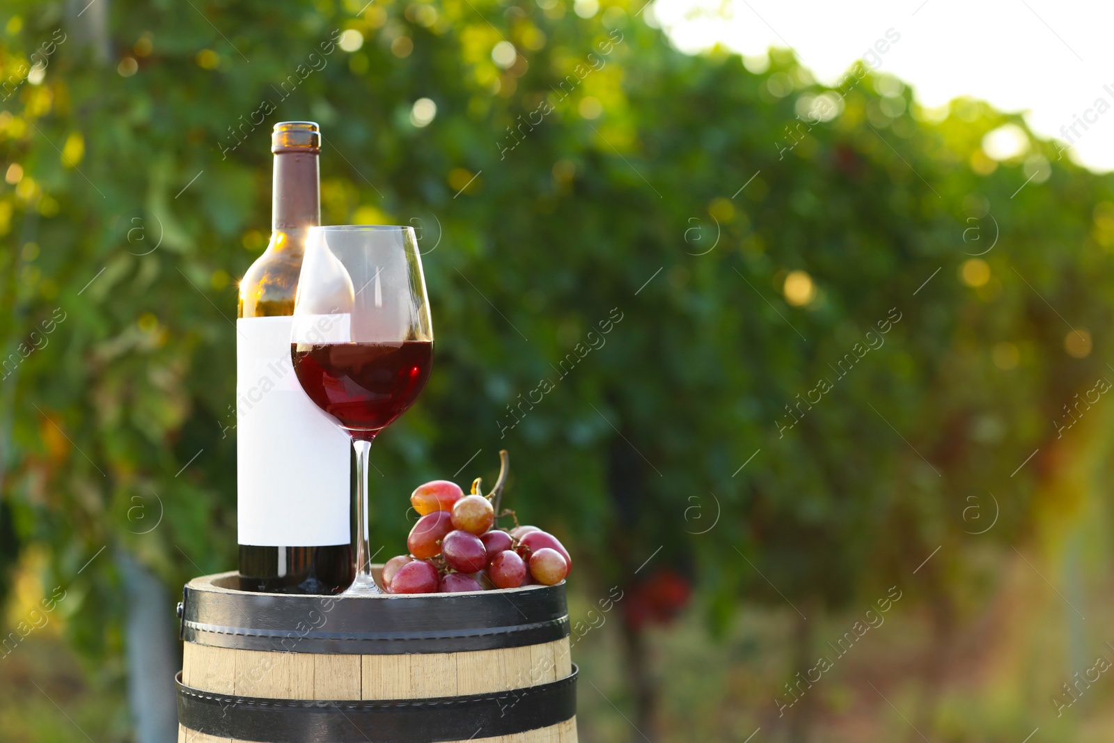 Photo of Composition with wine and ripe grapes on barrel at vineyard