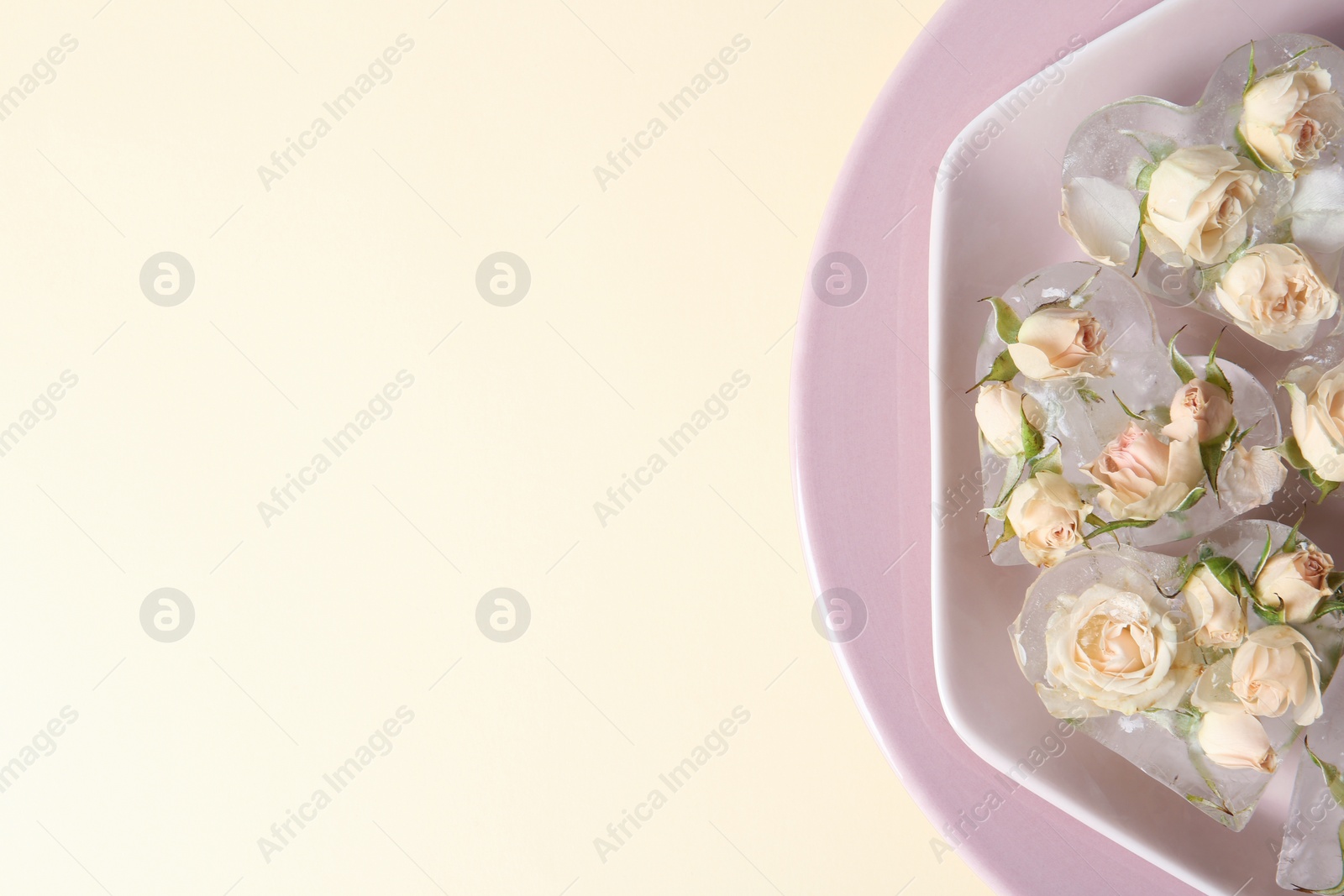 Photo of Beautiful composition with heart shaped ice cubes and roses on color background, top view. Space for text