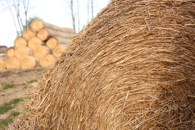 Photo of Big hay bale roll outdoors on spring day, closeup view