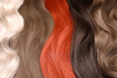 Photo of Strands of different hair as background, top view