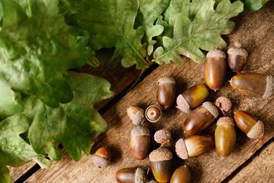 Photo of Acorns and oak leaves on wooden table, top view