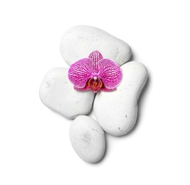 Photo of Spa stones with orchid flower on white background, top view