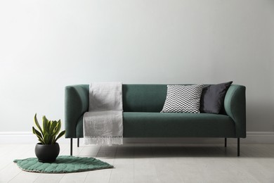 Photo of Stylish living room interior with comfortable green sofa and beautiful plant