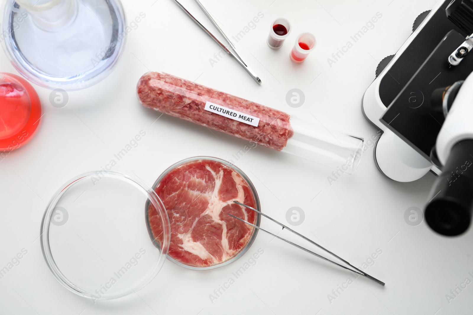 Photo of Samples of cultured meats on white lab table, flat lay