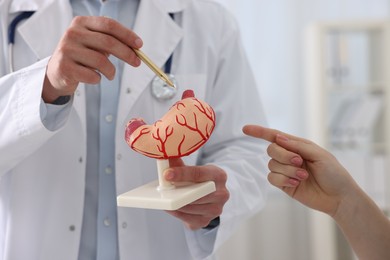 Gastroenterologist with human stomach model consulting patient in clinic, closeup