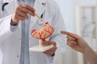 Photo of Gastroenterologist with human stomach model consulting patient in clinic, closeup