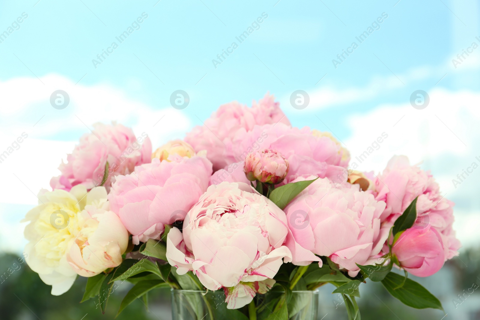 Photo of Bouquet of beautiful peonies in vase near window, closeup