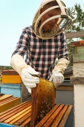 Beekeeper taking frame from hive at apiary. Harvesting honey