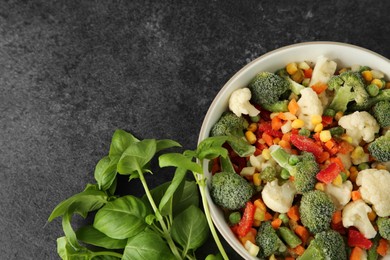 Different frozen vegetables and fresh basil on grey table, flat lay. Space for text