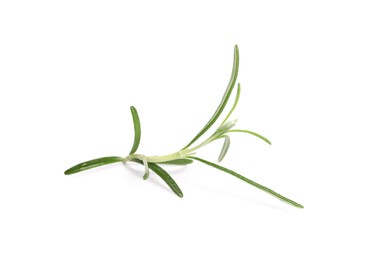 Photo of Sprig of fresh rosemary isolated on white