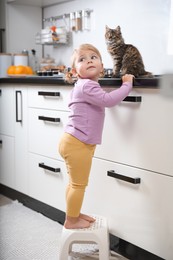 Cute little child with adorable pet on countertop in kitchen