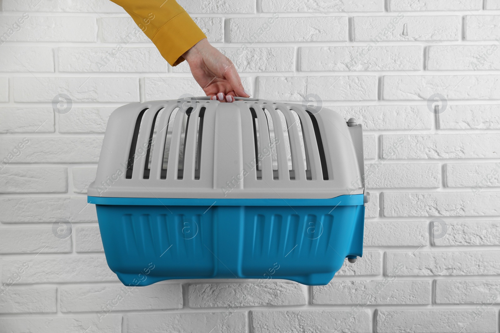 Photo of Woman holding light blue pet carrier near white brick wall, closeup