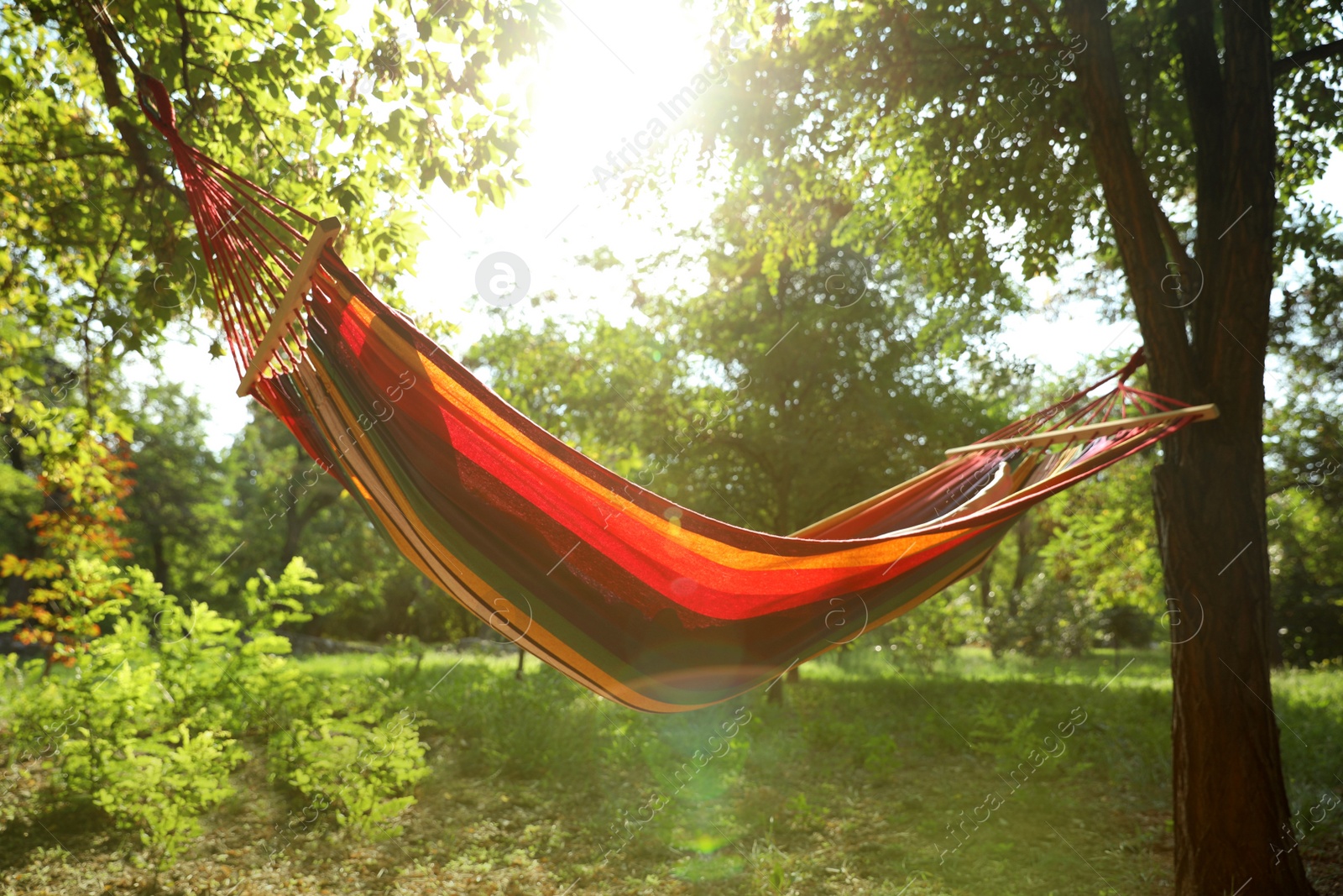 Photo of Woman resting in comfortable hammock at green garden